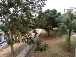 pasir-ris-drive-4 photo thumbnail #7